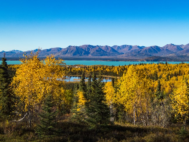 landscape view of mountains and lake in the background trees and ponds in the middle ground and trees in the foreground