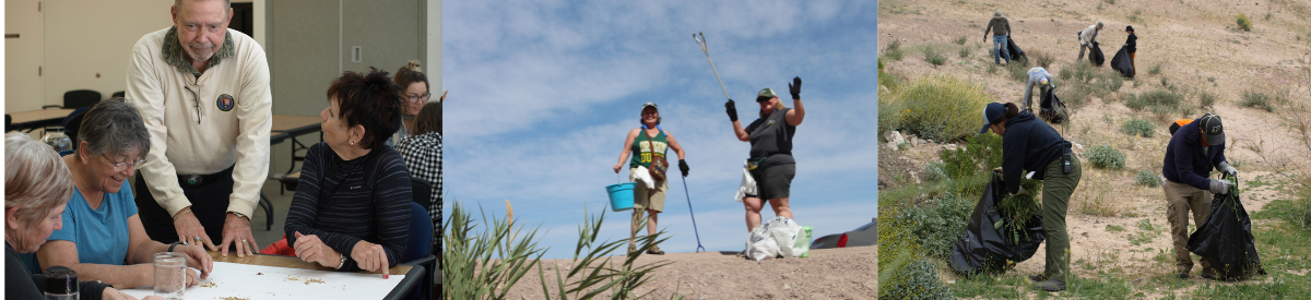 one-day volunteers