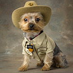 Cooper the Lake Mead Bark Ranger