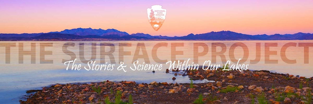 The Surface Project - The Stories and Science Living Within Our Lakes The Surface Project - The Stories and Science Living Within Our Lakes