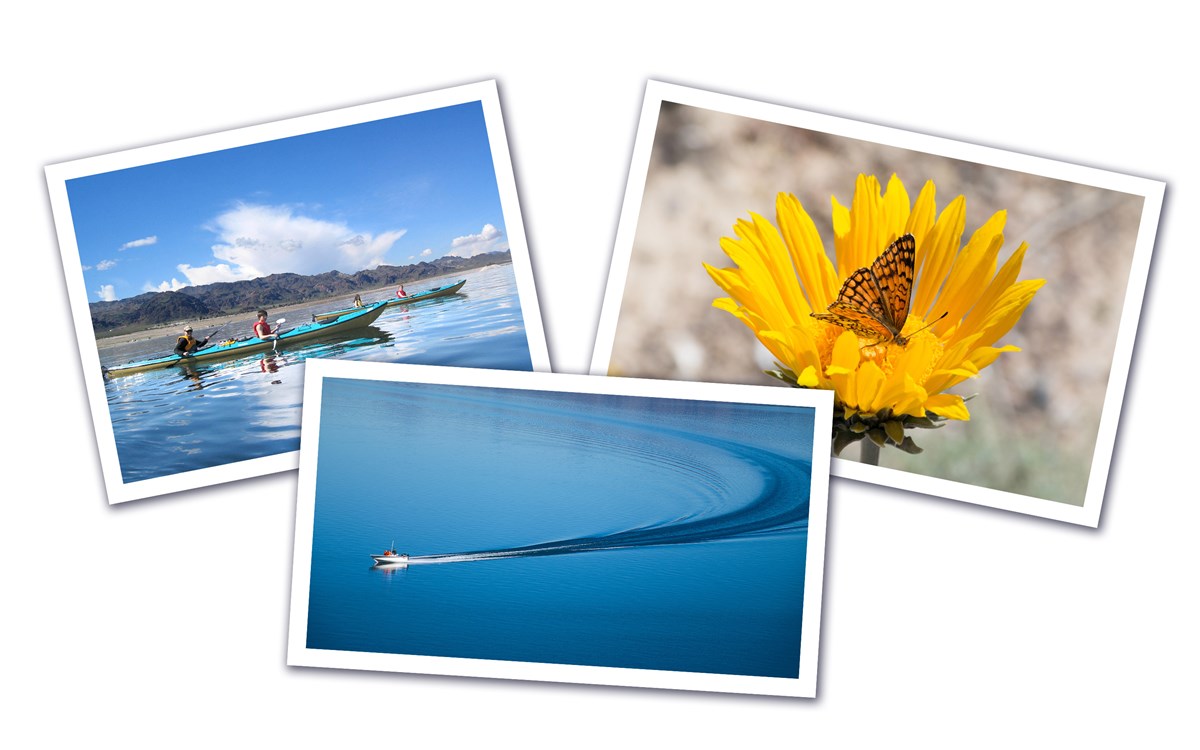 Photo Contest Header Image Photo Contest Header Image