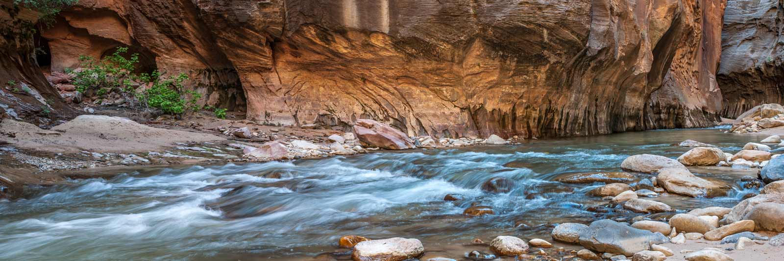 The iconic bend of the Virgin River in Zion National Park, UT