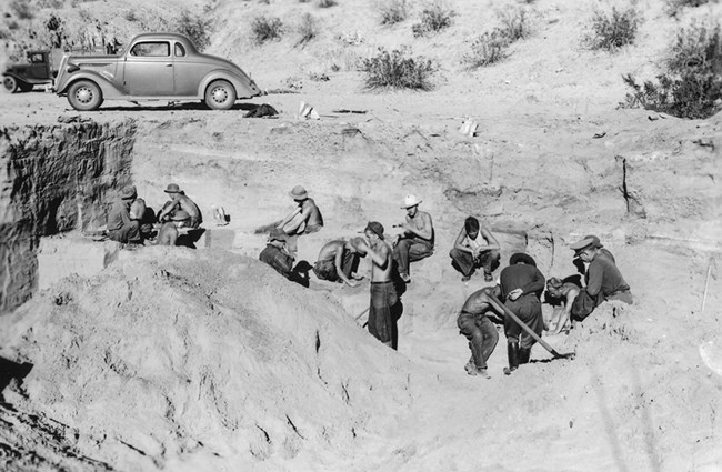 Boy scouts digging