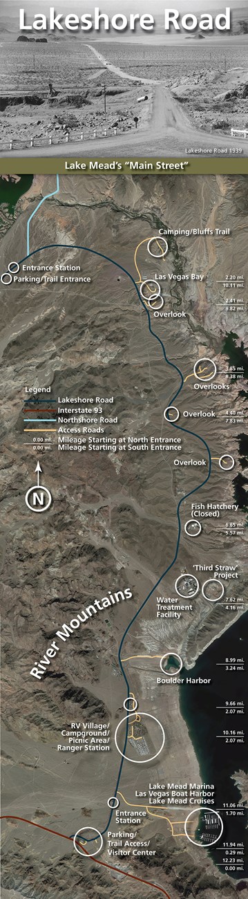 Lakeshore-Road-Infographic-2