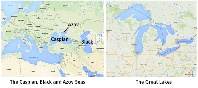 Quagga Mussel - Lake Mead National Recreation Area (U.S. National Park