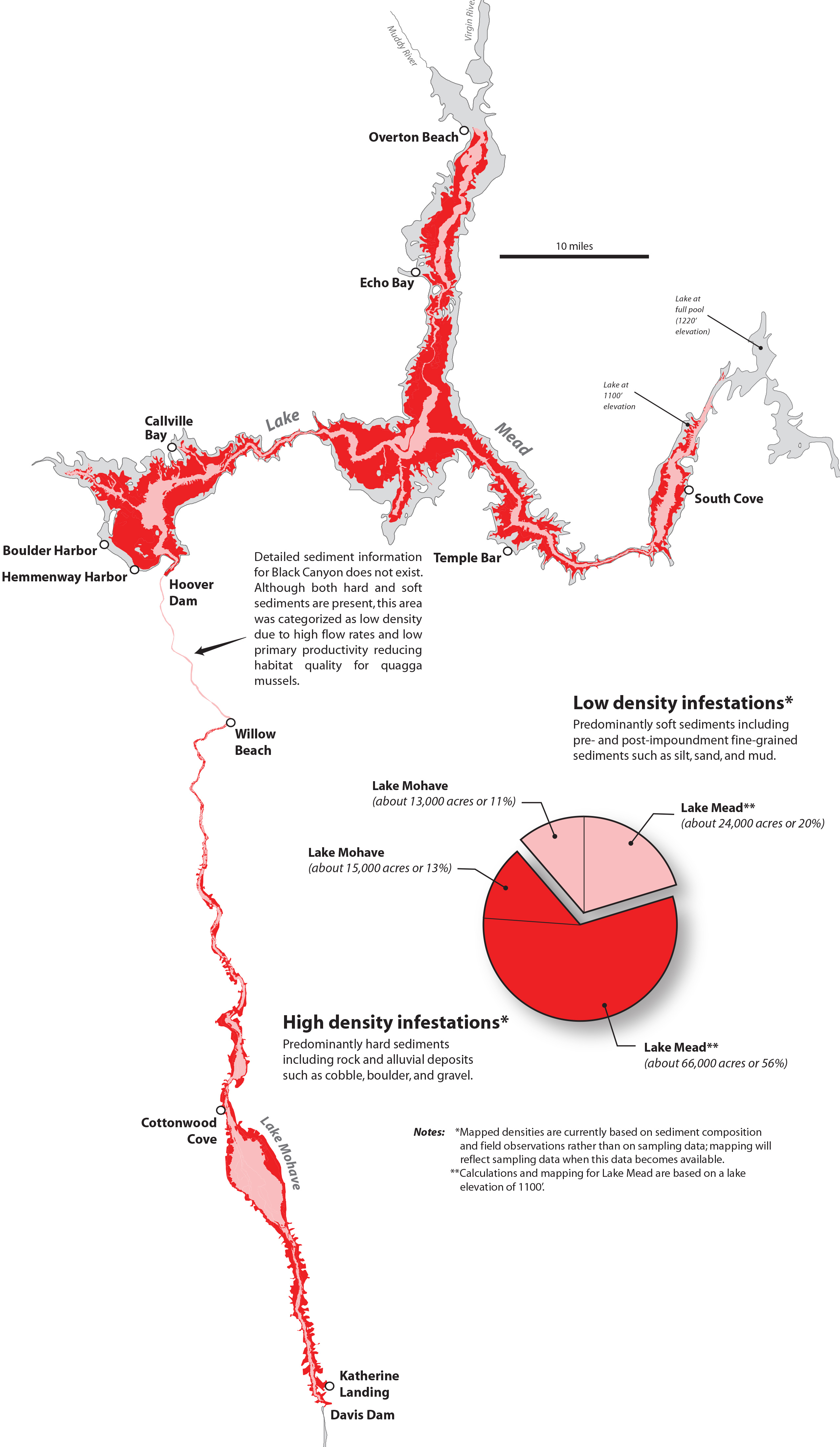 Quagga Mussel - Lake Mead National Recreation Area (U.S. National Park