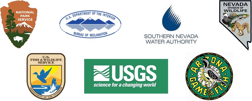 AIS Partnerships AIS Partnerships