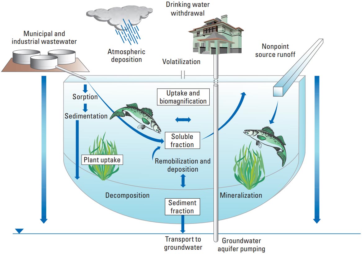 Mercury Diagram