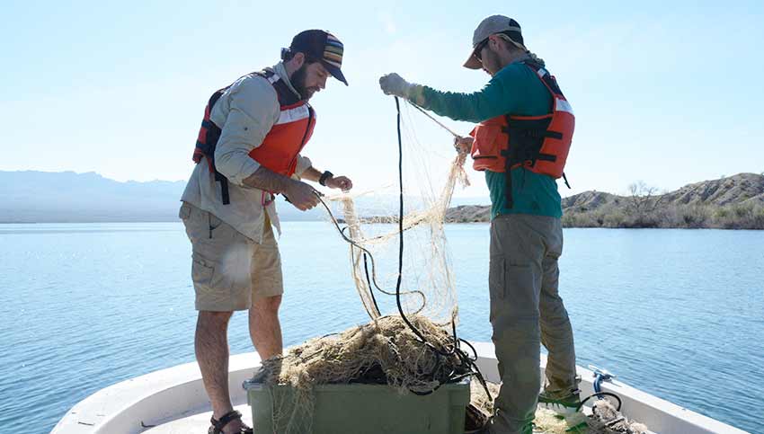 NPS employees reel in the nets placed the night before