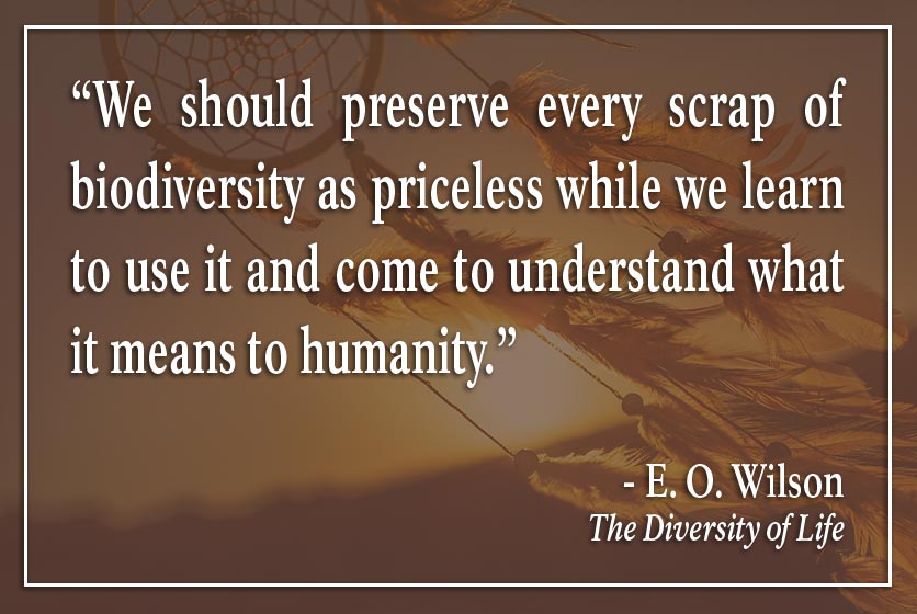 E.O. Wilson Quote We should preserve every scrap of biodiversity as priceless while we learn to use it and come to understand what it means to humanity.