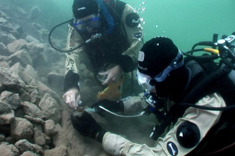 Monitoring the quagga mussels.