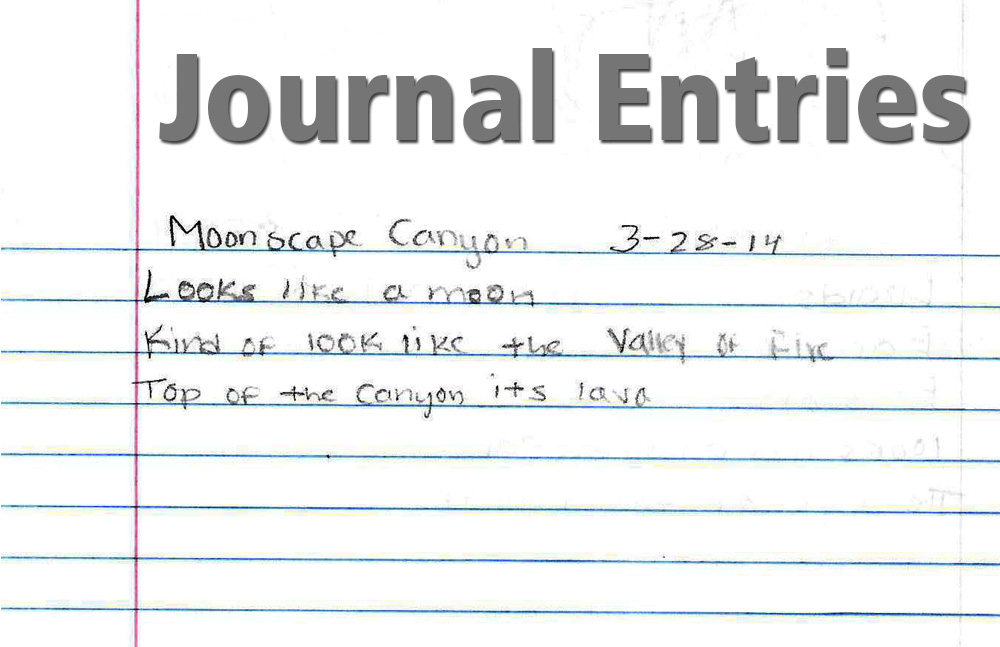 Journal