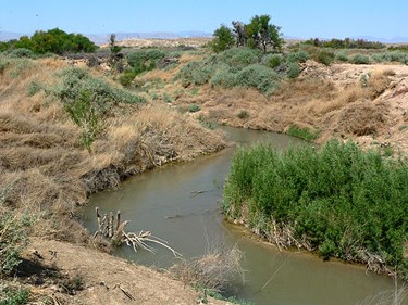 Muddy river running through brown grass and green foliage