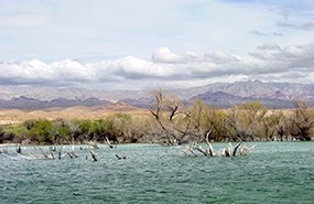 Arizona Bay