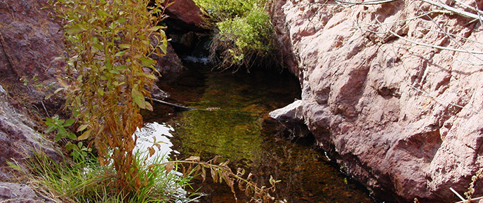 Black Canyon Spring Header Black Canyon Spring Header