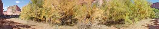 Canyon De Chelly