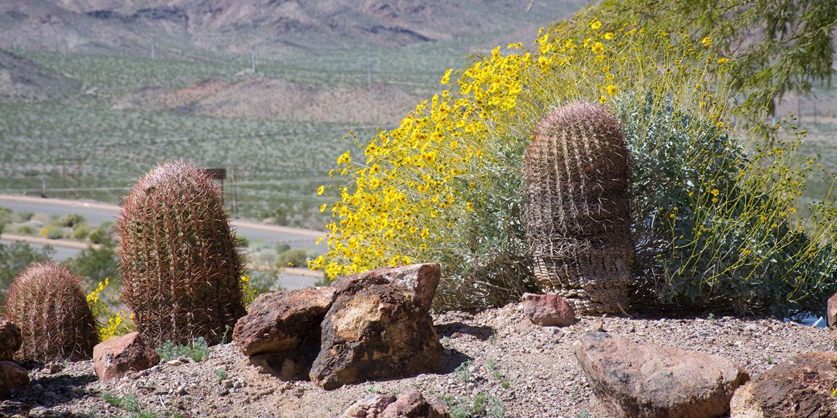 Nature page header image Nature page header image