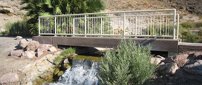 Rogers-Spring-header Rogers-Spring-header
