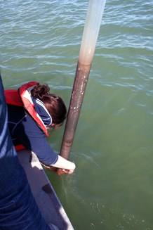 Collecting sediment core