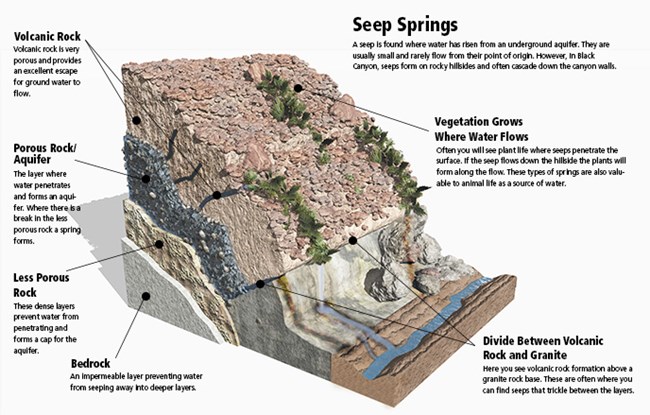 Diagram of the features of a Seep Spring
