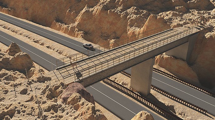 A bighorn sheep walking across a fenced in overpass that crosses the highway.