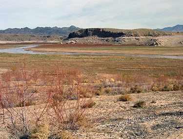 Water in the distance beyond long flat marshland