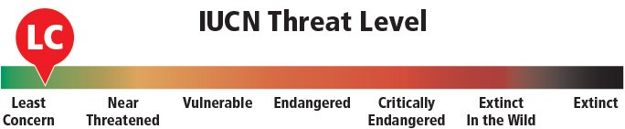 Graph illustrating the IUCN threat level for peregrine falcon.
