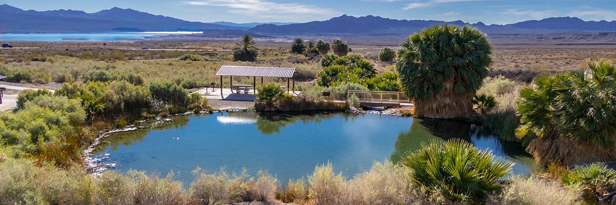 Overview of Rogers Spring