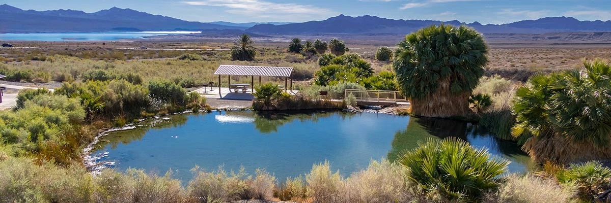 Rogers Spring Overview of Rogers Spring