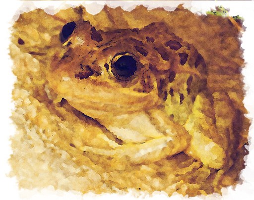 Painting of a Relic Leopard Frog