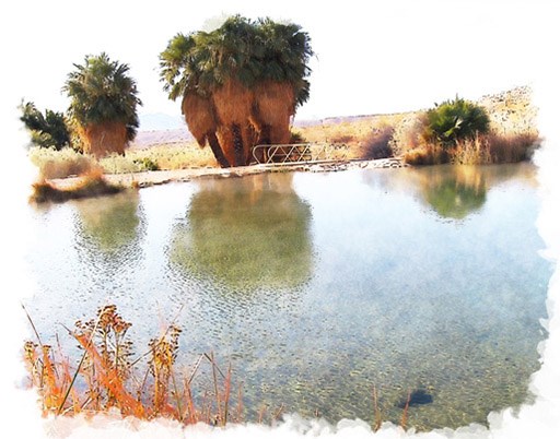 Painting of a spring near palm trees.