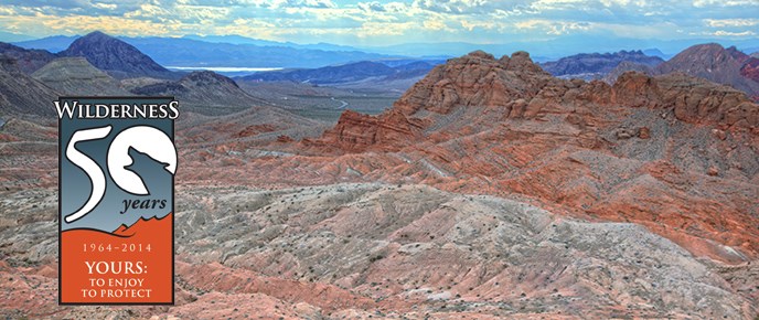 wilderness-header wilderness-header