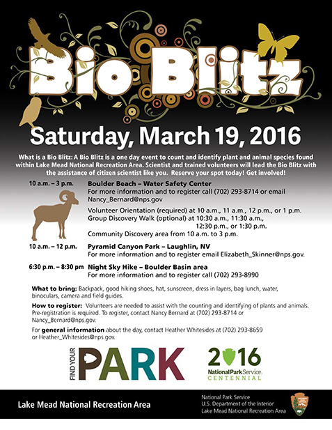 BioBlitz 2016
