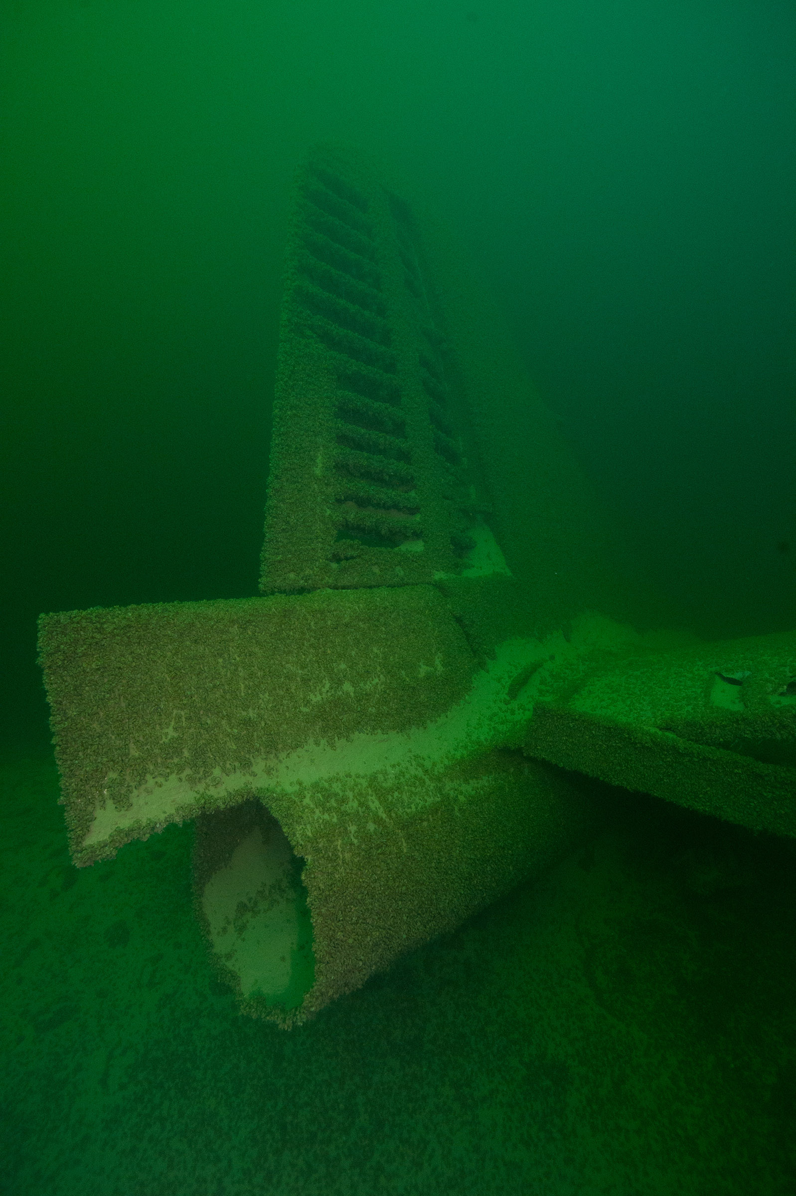 tail of submerged B-29 airplane