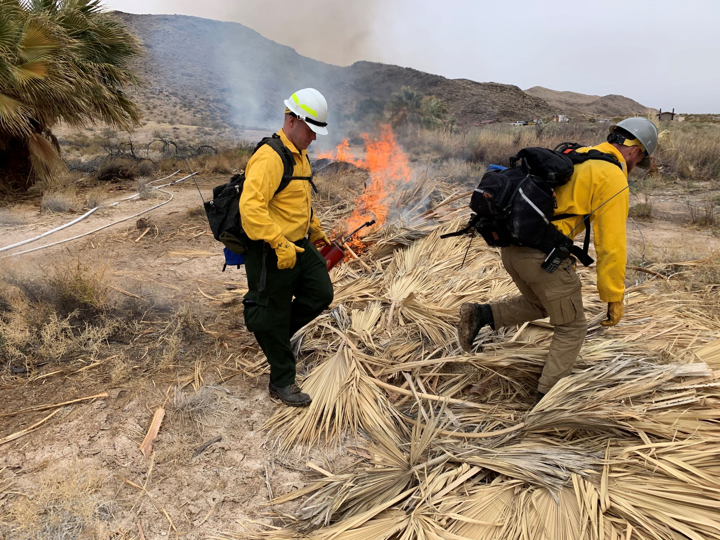 NPS TO CONDUCT PRESCRIBED BURN FOR HAZARDOUS FUEL REDUCTION THE WEEK OF JANUARY 16, 2023 - Lake Mead National Recreation Area (U.S. National Park Service)