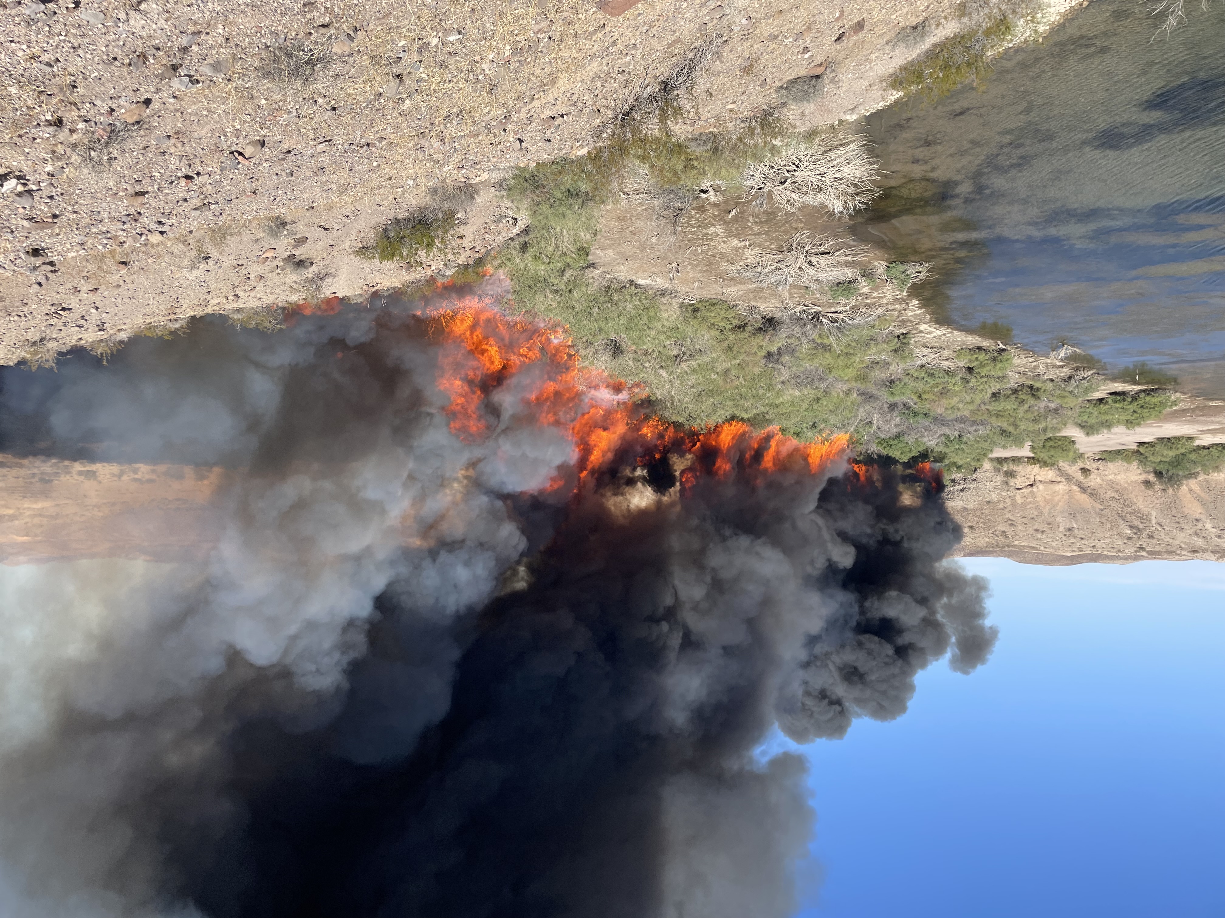 12 foot high flames in a patch of invasive bushes a few feet from the Lake Mead shoreline