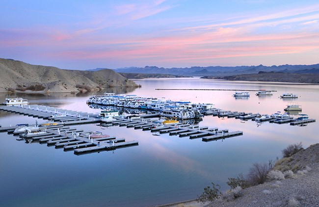 Photo of vessels docked in marina at sunrise, pink clouds are reflected in the water