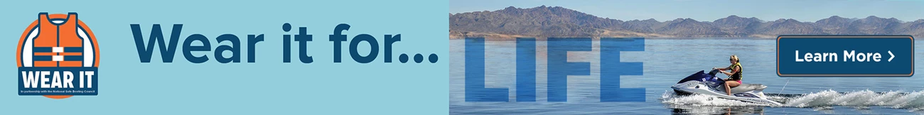 LifevestCCX_BA LifevestCCX_BA