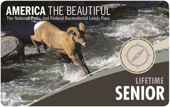 Pass cover with photo of bighorn sheep jumping over swift river