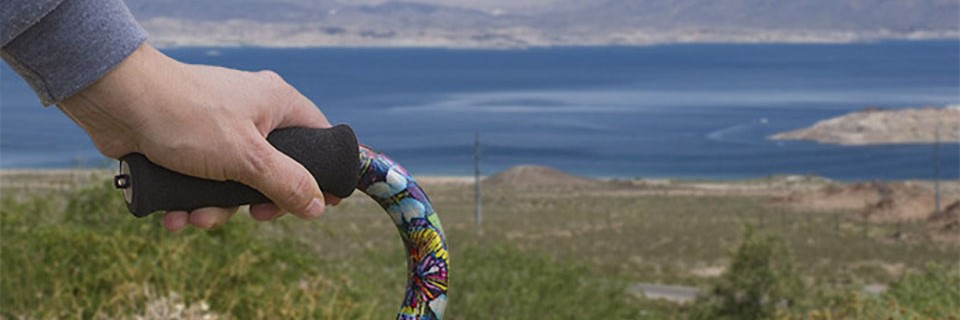 hand holding cane with lake in background