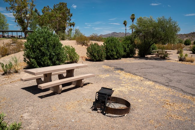 Callville Bay Campground_Lake Mead