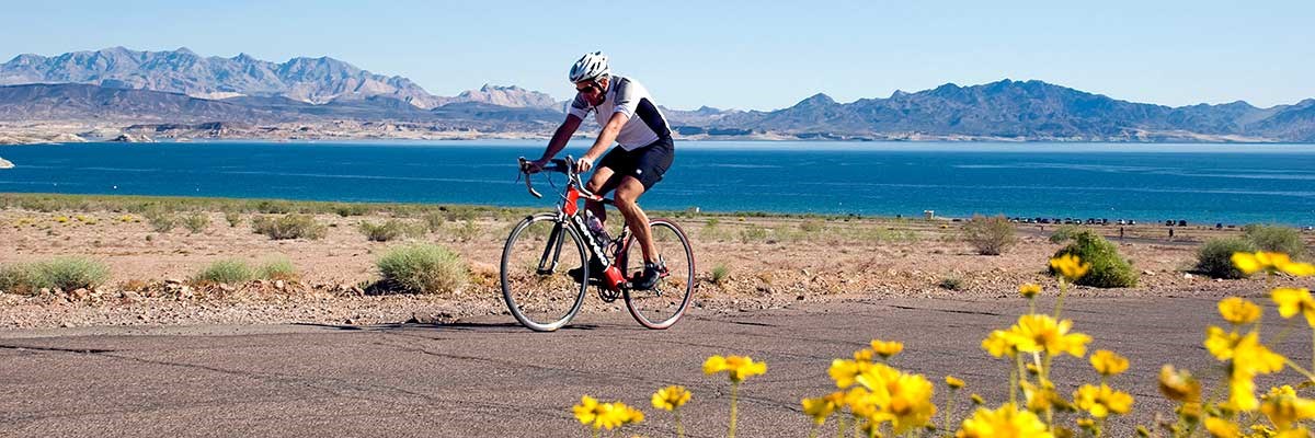 Cyclist on asphalt road, lake in background, yellow wildflowers in foreground
