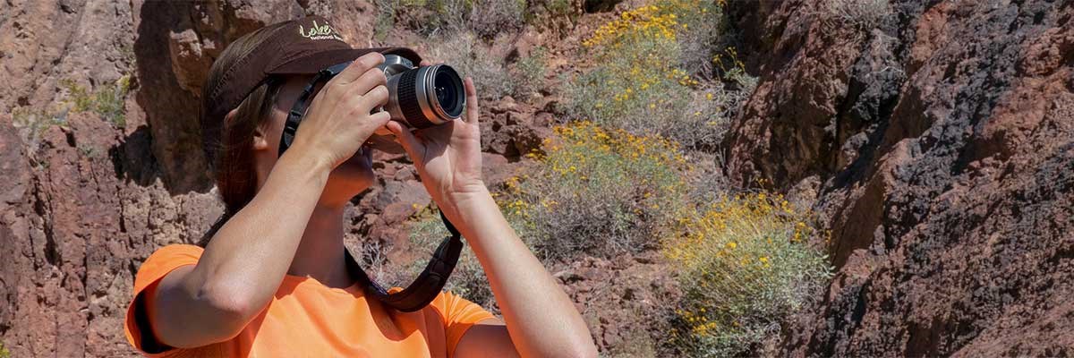 Person looking through camera, wildflowers in background