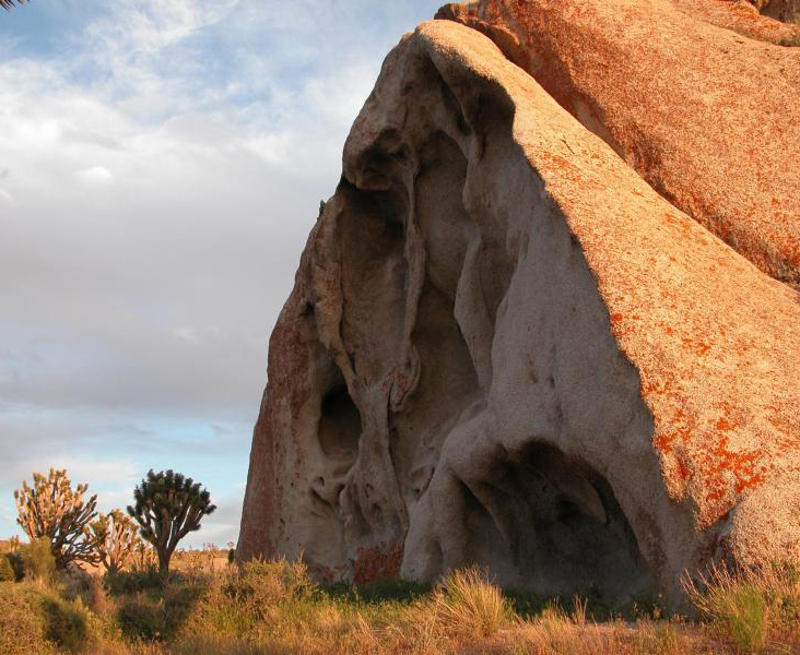 Mojave National Preserve