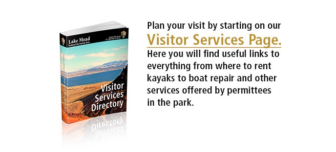 visitorServiceNotice