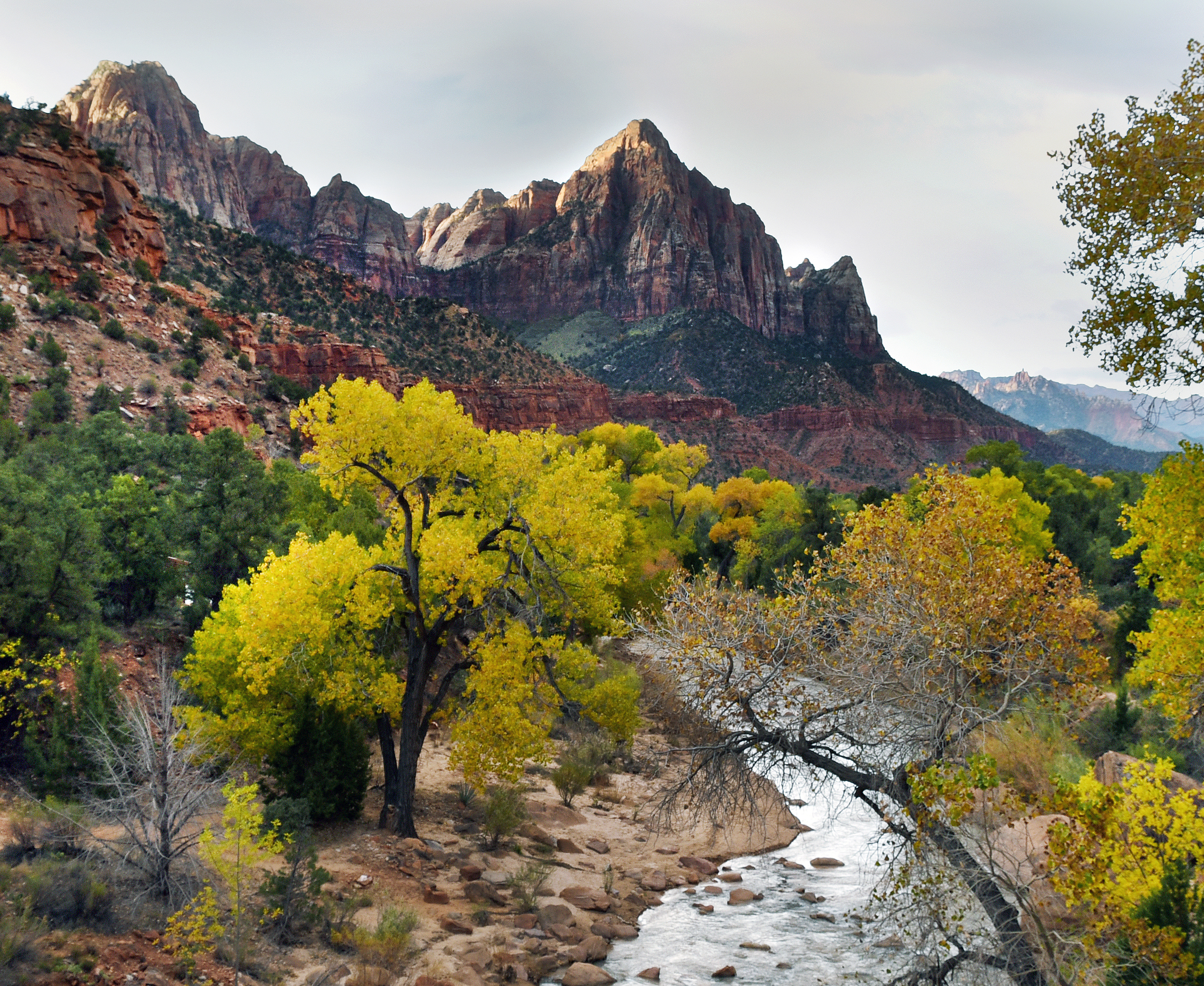 Zion National Park