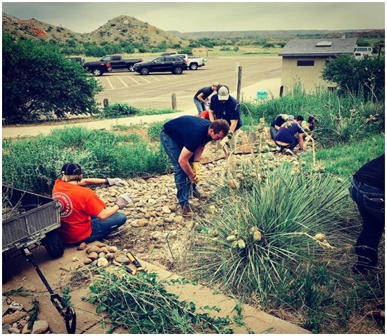 Phillips 66 Interns working in the Monarch Garden and clearing out white stones.  The landscape is green with flowers and bushes.