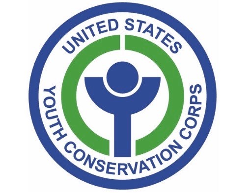 ycc logo 2