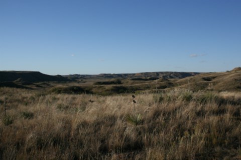 Shortgrass Prairie surrounds the Canadian River Valley.