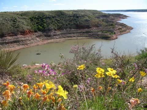 Wildflowers overlook a boater on Lake Meredith. Wildflowers overlook a boater on Lake Meredith.